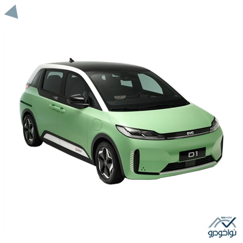 BYD D1